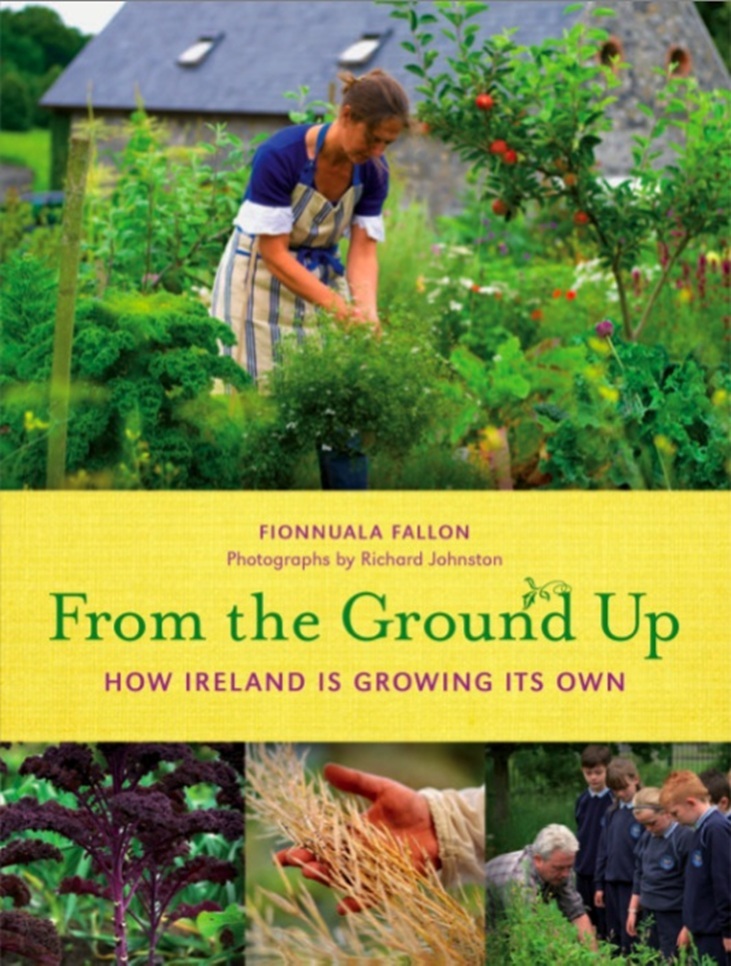 From The Ground Up by Fionnuala Fallon - book cover From The Ground Up by Fionnuala Fallon - book cover
