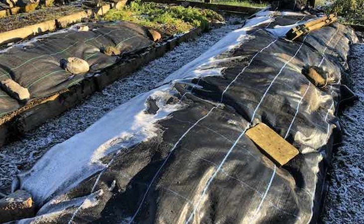 Mypex fabric placed over garden beds