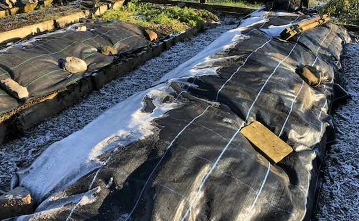 Mypex on beds