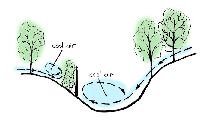 Illustration of frost pockets in the garden