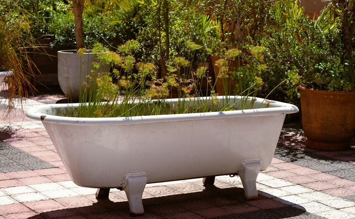 DIY bath tub planter