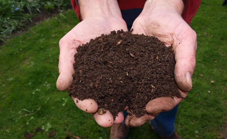 compost compost
