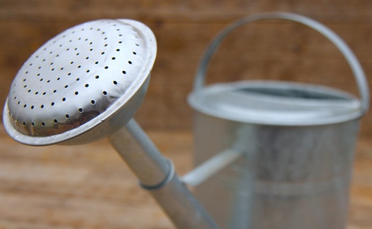 spout of watering can