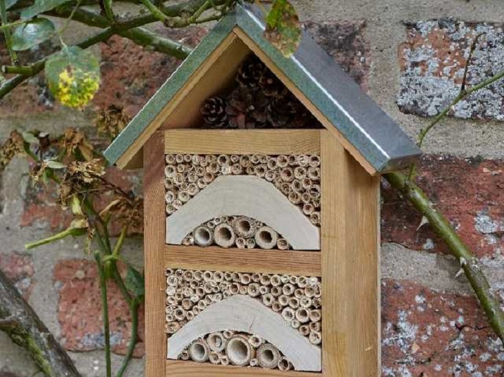 Garden Insect House