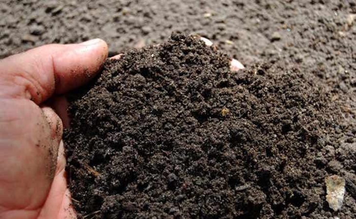 Garden soil up close
