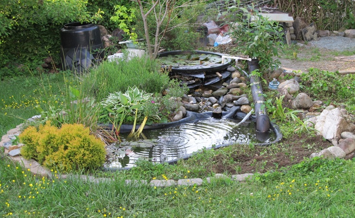 wildlife friendly garden pond