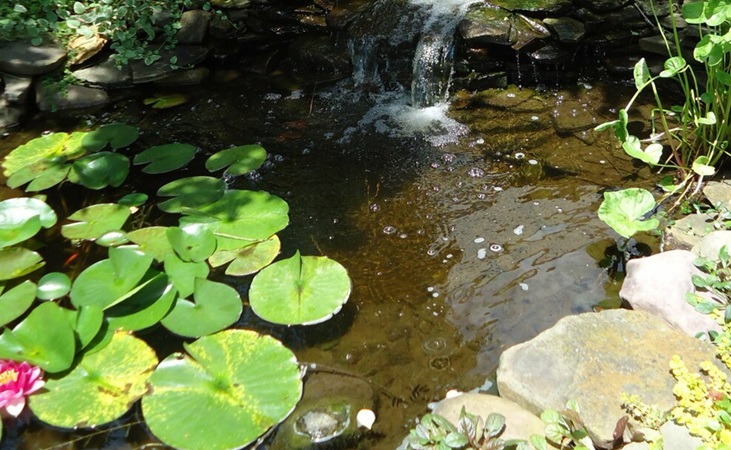 garden pond with running water garden pond with running water