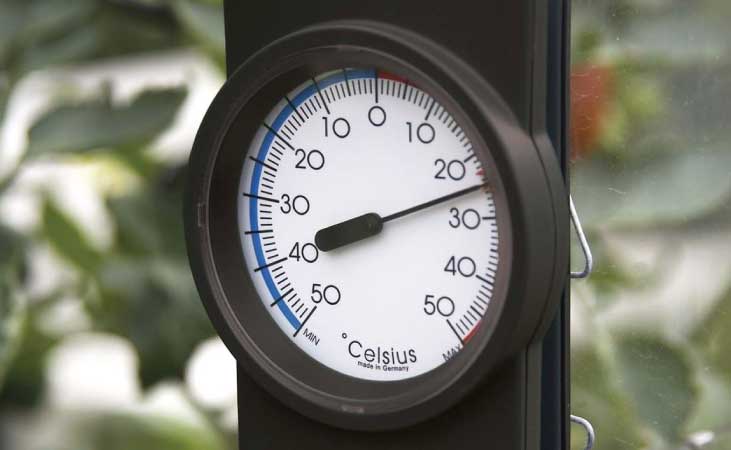 Vitavia greenhouse thermometer