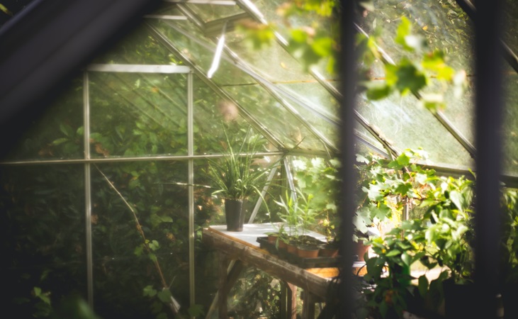 greenhouse pots and trays