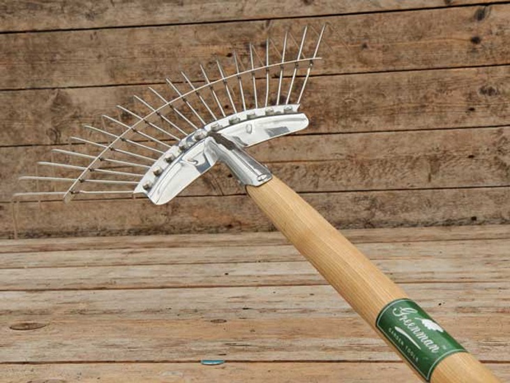 lawn rake for removing thatch