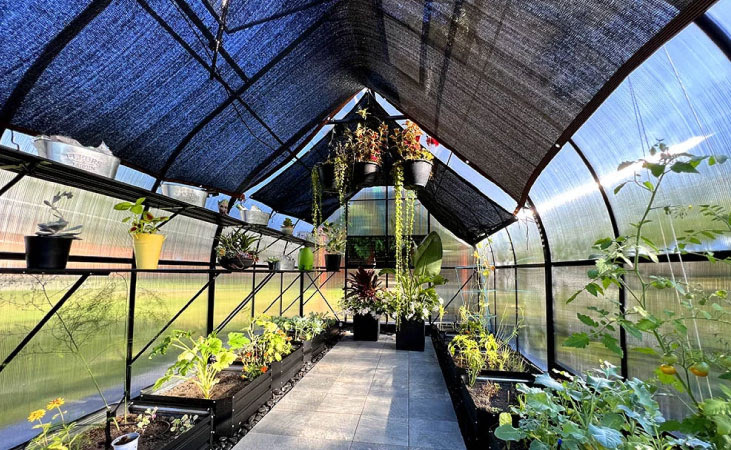 Shade cloth attached to the roof of a greenhouse structure Shade cloth attached to the roof of a greenhouse structure
