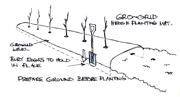 Gro Grid Hedge Planting Mat Illustration