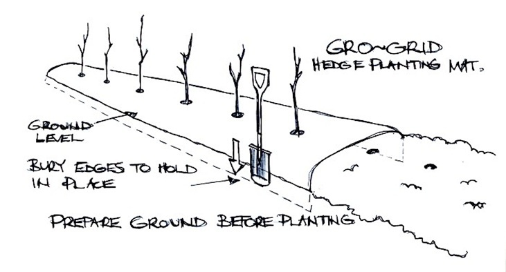hedge planting with a Gro Grid - diagram 