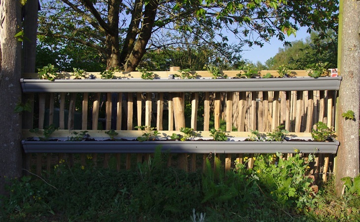Strawberries planted in gutters attached to a fence - photo by Dirk Vanhalle, Flickr