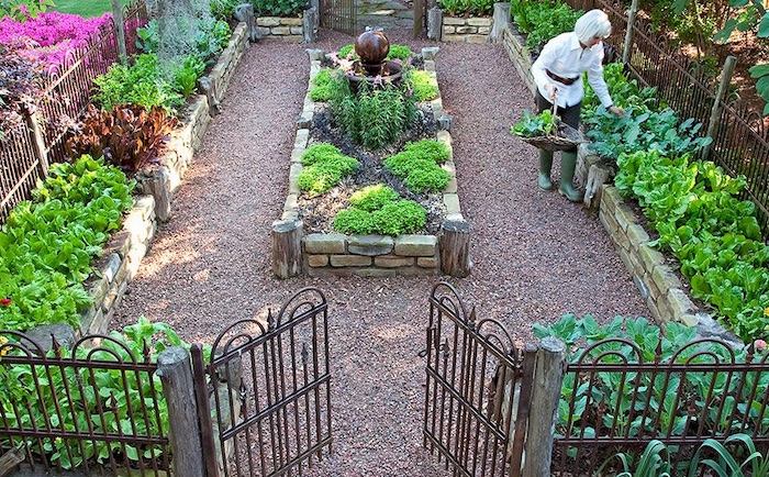 Enjoying vegetable garden