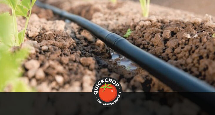 drip irrigation piping - header image