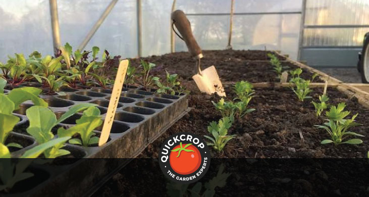Essential garden tools - header image