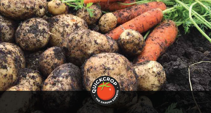 Header image with Quickcrop logo - carrots and potatoes Header image with Quickcrop logo - carrots and potatoes