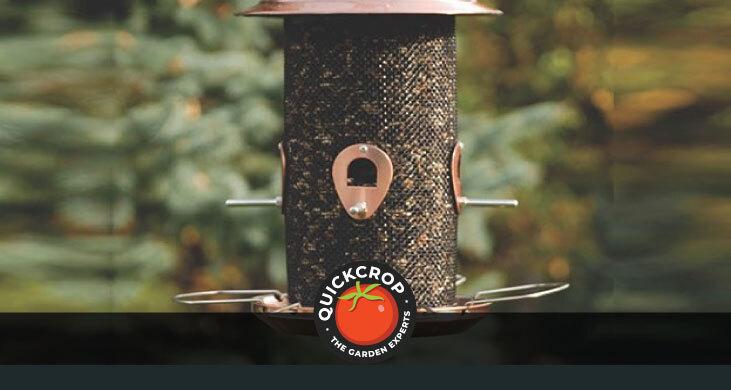 Brushed copper bird feeder - header image with Quickcrop logo Brushed copper bird feeder - header image with Quickcrop logo