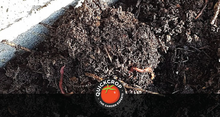 worm composting header image with Quickcrop logo worm composting header image with Quickcrop logo