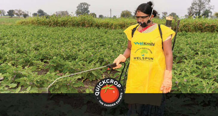 Header image - organic pesticides