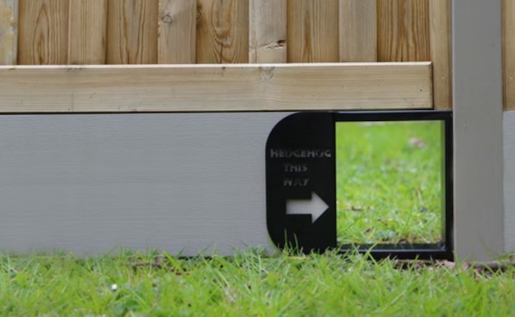 hedgehog access hole