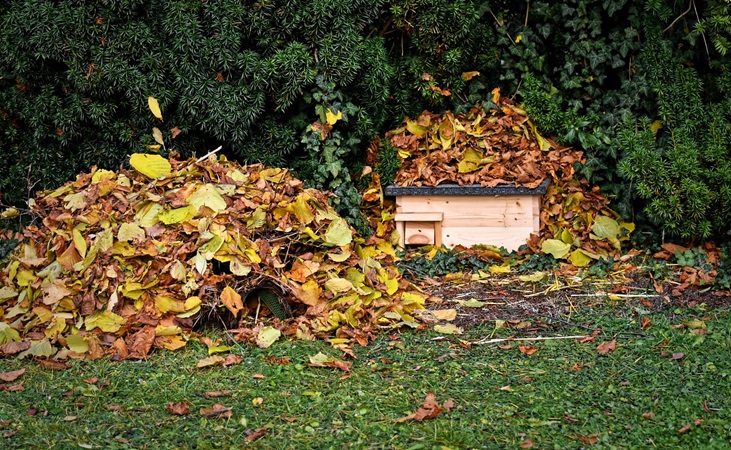 Piles of leaves beside a 'hedgehog house'