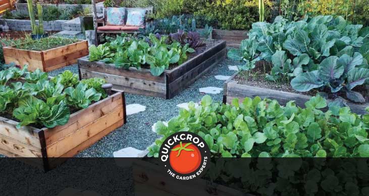 High yield vegetable gardening