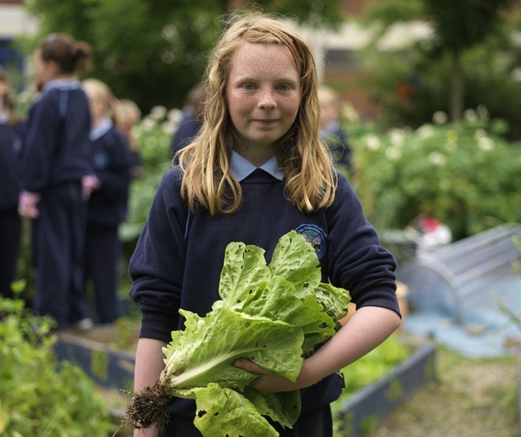 a student from Holy Trinity School holding a head of lettuce a student from Holy Trinity School holding a head of lettuce
