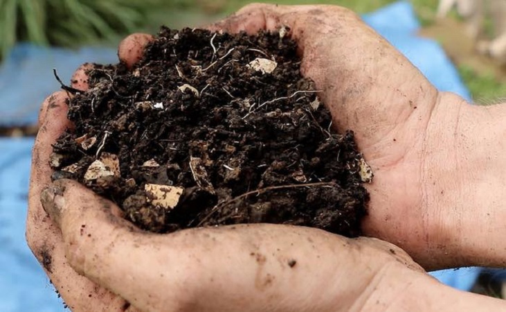 two handfuls of homemade compost