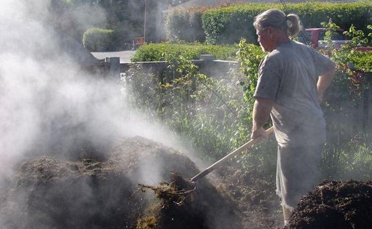 Steam coming from hot compost