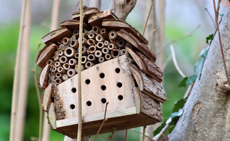 Bee hotel example