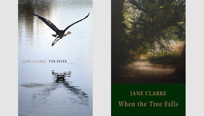 Jane Clarke's Poetry books