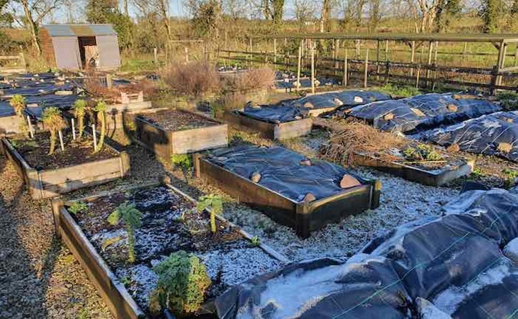 Mypex over vegetable beds