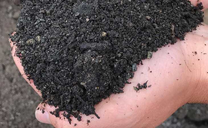 John Innes soil mix