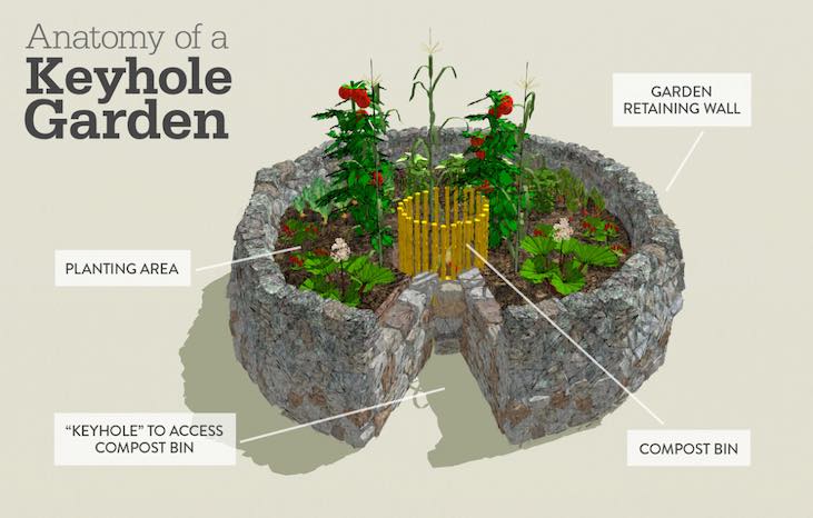 Visual diagram of a keyhole garden layout