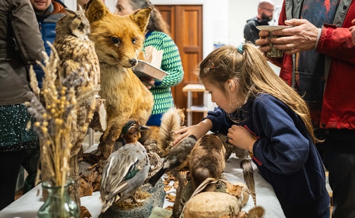 Taxidermy animals pictured at the Year In Our Garden book launch (photo by Cian Flynn)