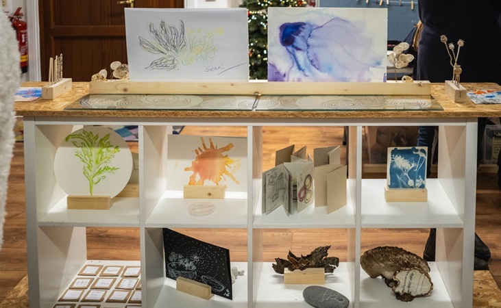 A display of the different garden-based arts and crafts worked on as part of the project - photo by Cían Flynn
