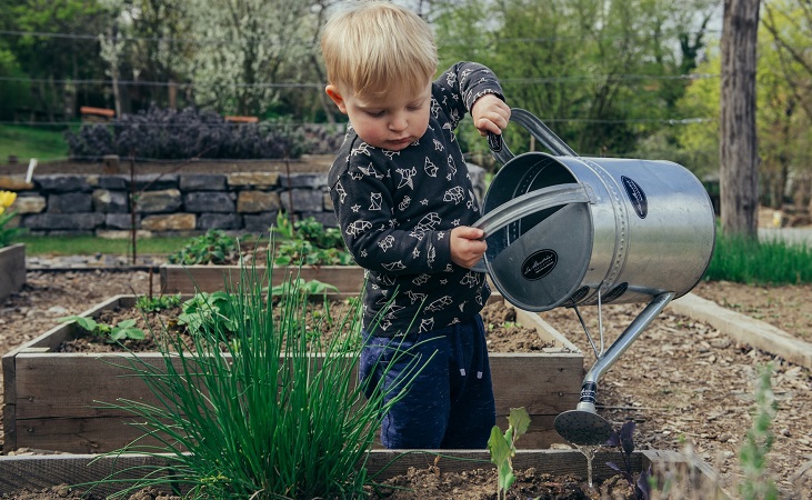 kid watering the garden