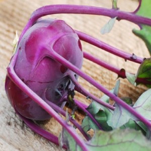 Kohl rabi