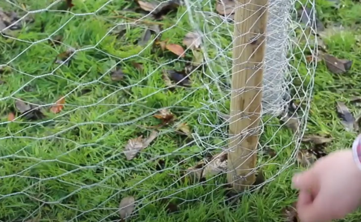 making a leaf mulch cage