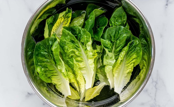 Little gem lettuce Little gem lettuce