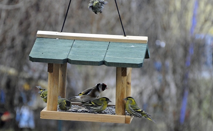 Flat surfaces can increase the risk of disease transmission