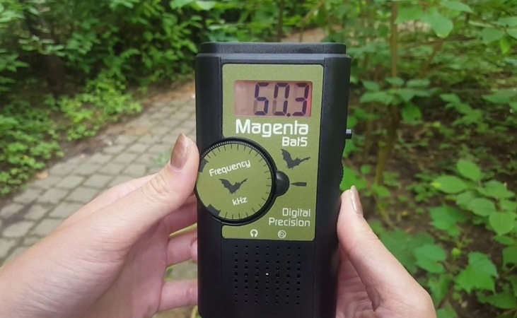 a Magenta heterodyne bat detector 