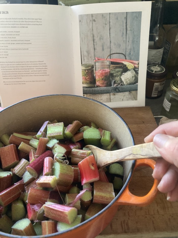 Making rhubarb salsa in a stoneware fermenter