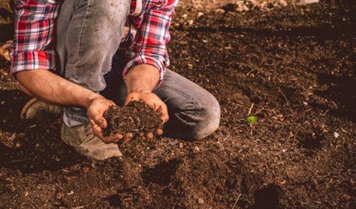 Man kneeling on the ground examining soil