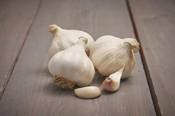 French Garlic Messidrome