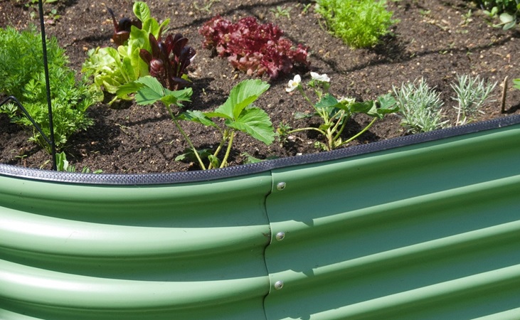 A 'Vegtub' raised bed up close.