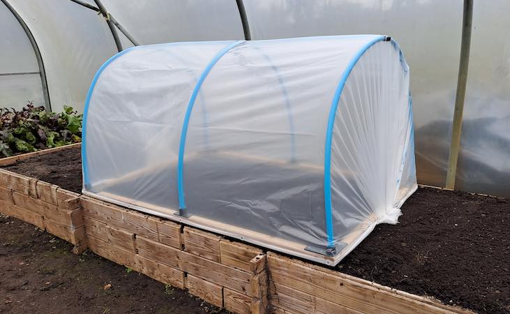 mini polytunnel placed on a raised bed inside an adult polytunnel