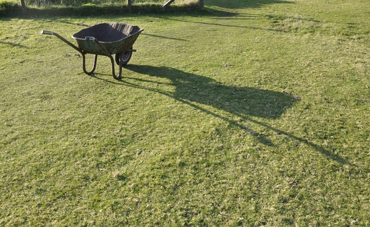 a wheelbarrow on a lawn